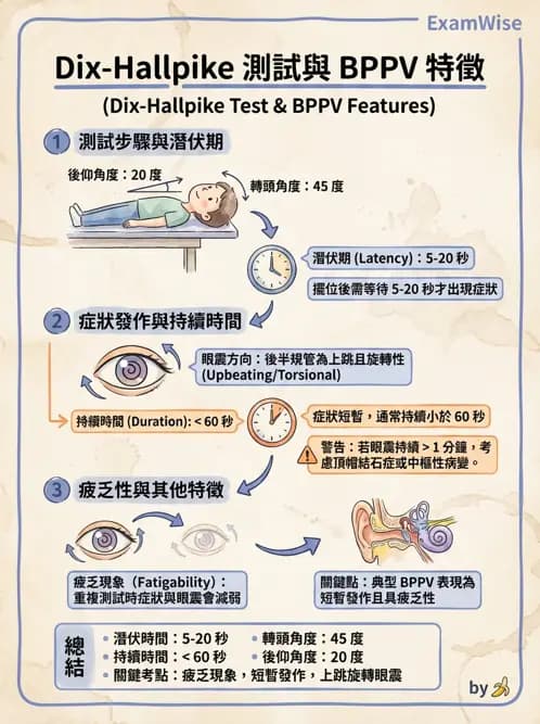 物治 - 前庭系統與前庭復健 - AI 圖文解析預覽