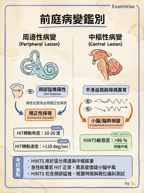 物治 - 前庭系統與前庭復健 - AI 圖文解析預覽