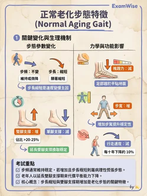 物治 - 跌倒預防與平衡訓練 - AI 圖文解析預覽