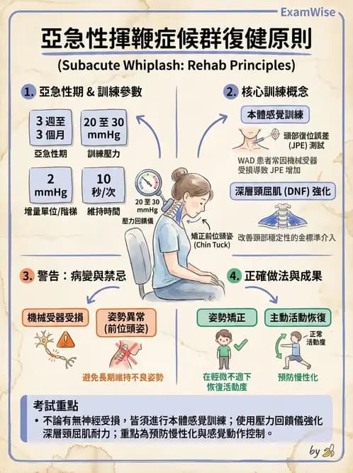 物治 - 頸椎評估與病理 - AI 圖文解析預覽