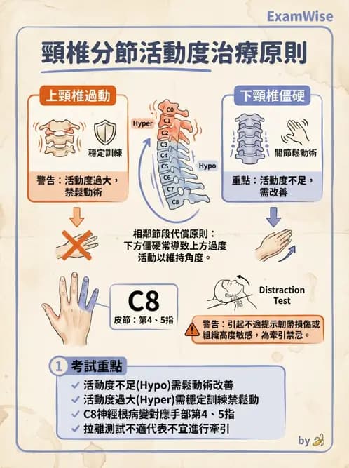 物治 - 頸椎評估與病理 - AI 圖文解析預覽