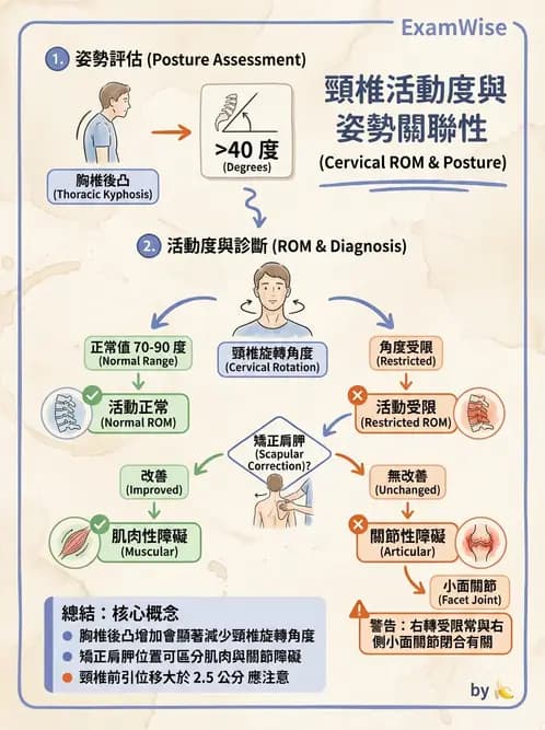 物治 - 頸椎評估與病理 - AI 圖文解析預覽