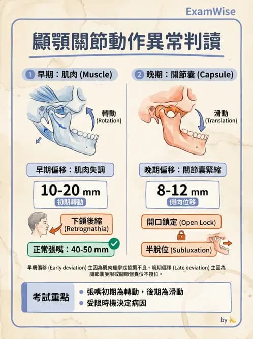 物治 - 顳頷關節 - AI 圖文解析預覽