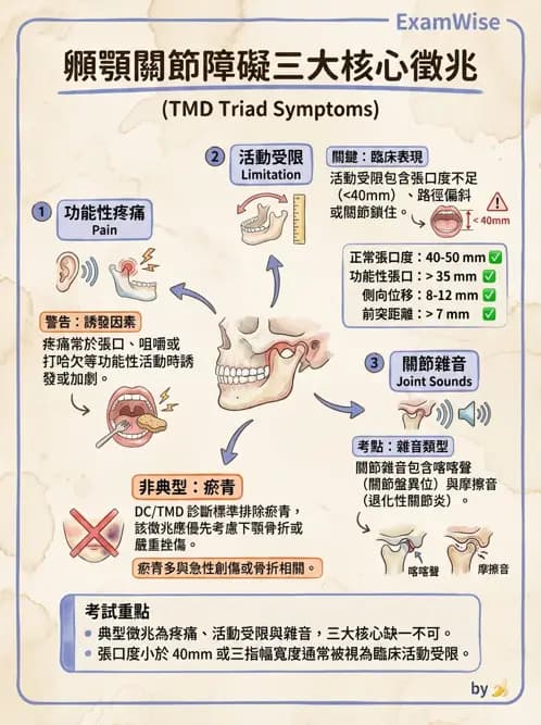物治 - 顳頷關節 - AI 圖文解析預覽