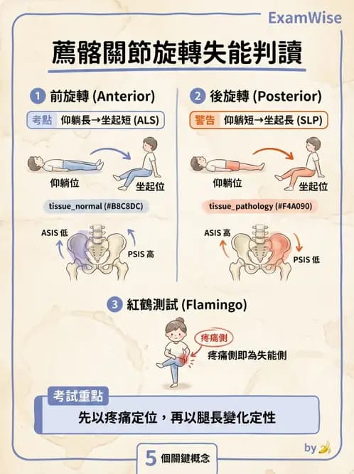 物治 - 薦髂關節評估與治療 - AI 圖文解析預覽