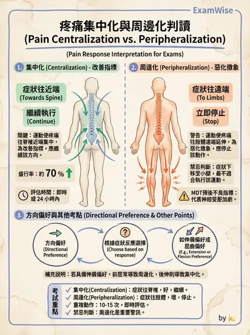 物治 - 腰椎穩定訓練與治療原則 - AI 圖文解析預覽