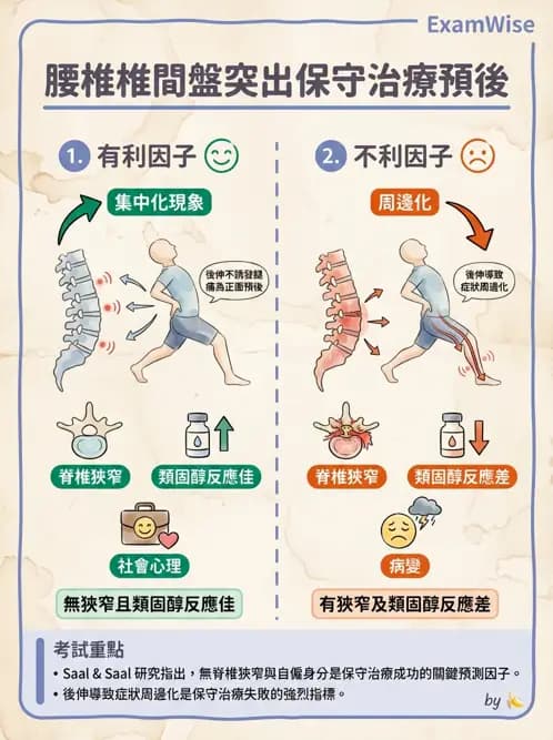 物治 - 腰椎椎間盤與脊椎狹窄 - AI 圖文解析預覽