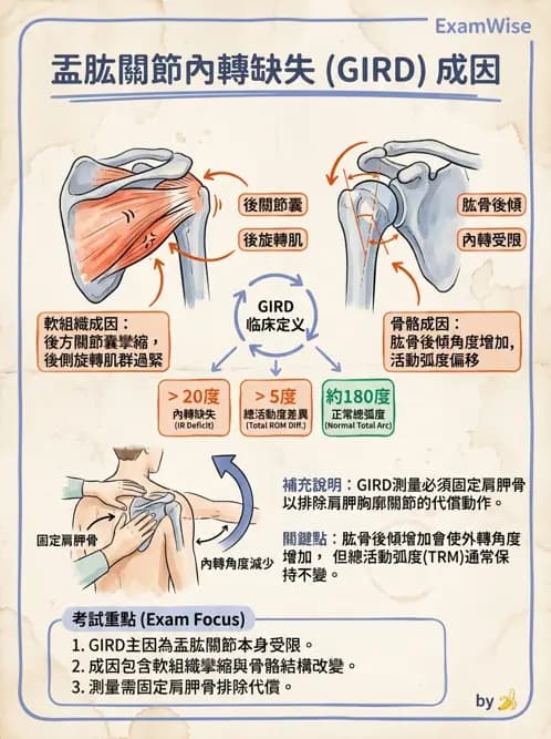 物治 - 冰凍肩與胸廓出口症候群 - AI 圖文解析預覽