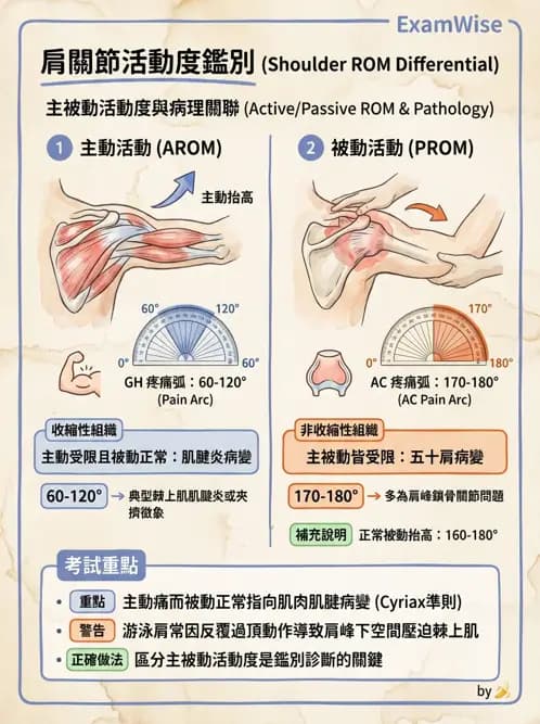 物治 - 肩關節夾擠與旋轉肌袖 - AI 圖文解析預覽