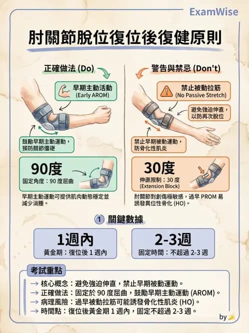 物治 - 肘及前臂關節 - AI 圖文解析預覽