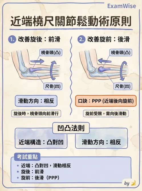 物治 - 肘及前臂關節 - AI 圖文解析預覽