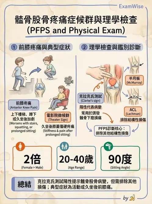 物治 - 髕股關節疼痛與伸展機制 - AI 圖文解析預覽