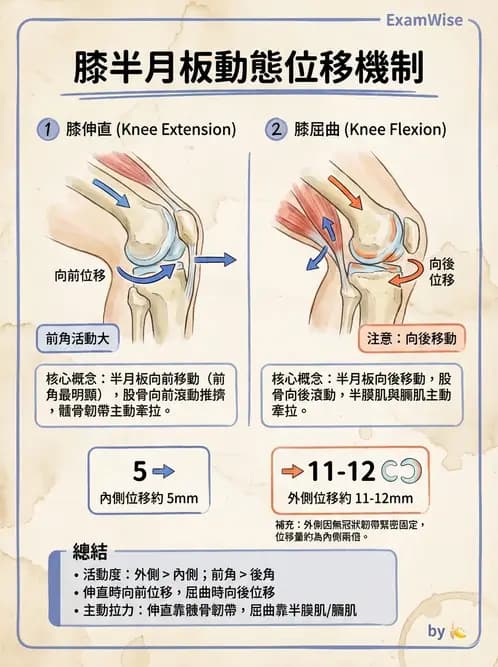 物治 - 膝關節韌帶與半月板損傷 - AI 圖文解析預覽