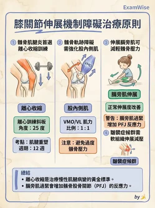物治 - 髕股關節疼痛與伸展機制 - AI 圖文解析預覽