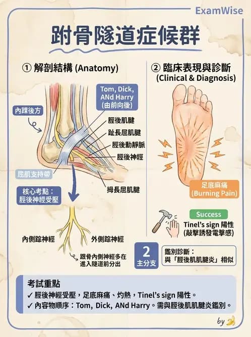物治 - 足部病變與輔具評估 - AI 圖文解析預覽