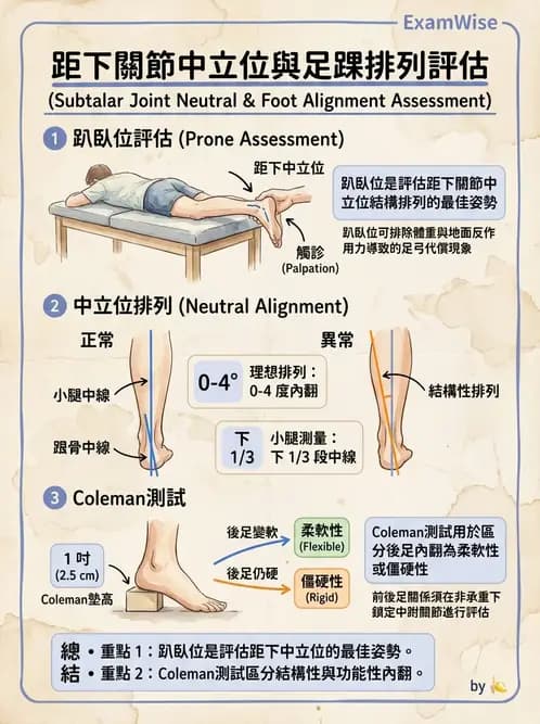 物治 - 足部病變與輔具評估 - AI 圖文解析預覽