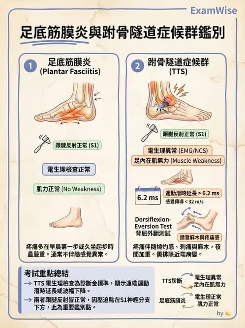 物治 - 足部病變與輔具評估 - AI 圖文解析預覽