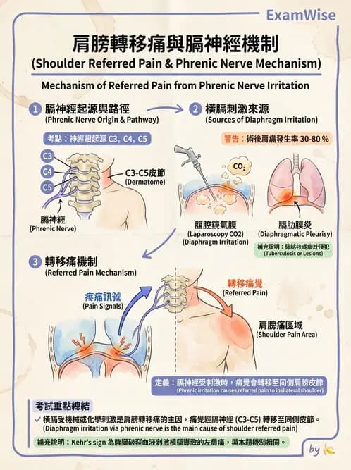 物治 - 初級照護與鑑別診斷 - AI 圖文解析預覽