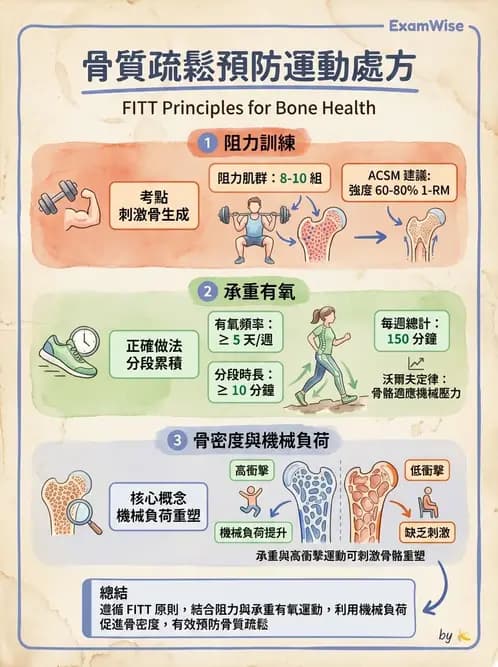 物治 - 女性健康 - AI 圖文解析預覽