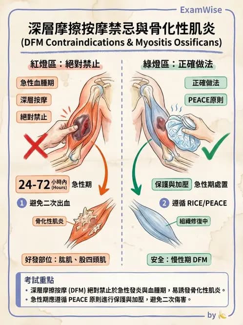物治 - 競技與運動防護 - AI 圖文解析預覽