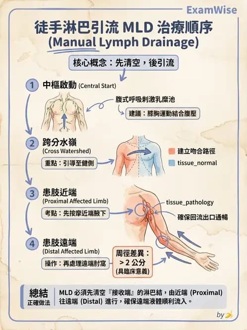 物治 - 皮膚與淋巴系統物理治療 - AI 圖文解析預覽