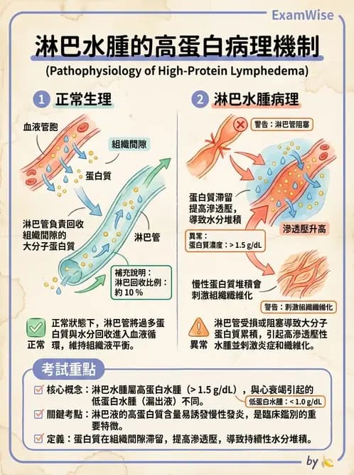 物治 - 皮膚與淋巴系統物理治療 - AI 圖文解析預覽