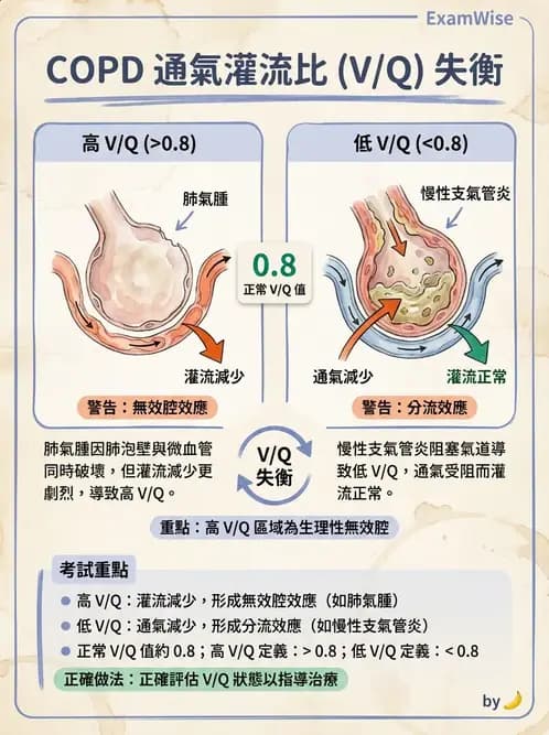 物治 - 阻塞性肺疾病物理治療 - AI 圖文解析預覽