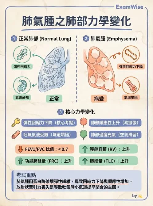 物治 - 阻塞性肺疾病物理治療 - AI 圖文解析預覽
