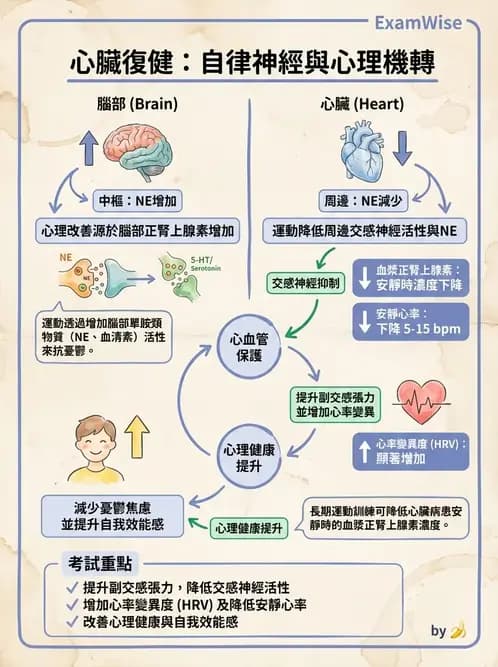 物治 - 心臟復健與運動處方 - AI 圖文解析預覽