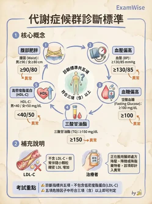 物治 - 特殊族群運動處方與健康促進 - AI 圖文解析預覽