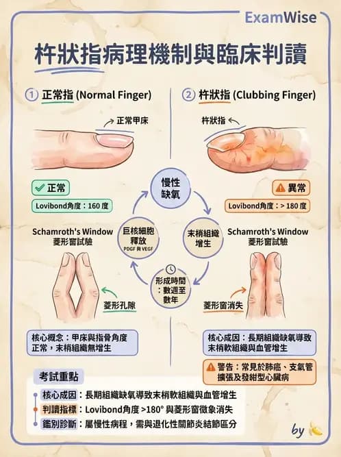 物治 - 呼吸臨床評估技術 - AI 圖文解析預覽