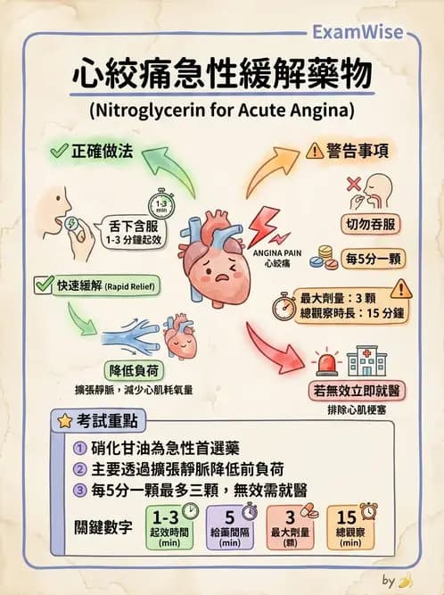 物治 - 冠狀動脈疾病與心臟手術 - AI 圖文解析預覽