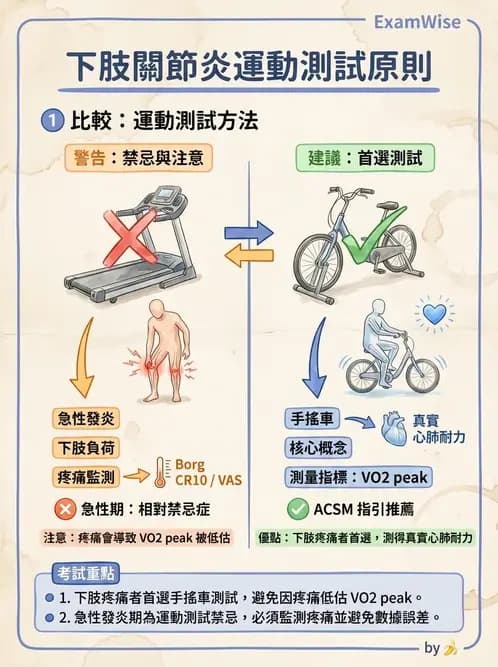 物治 - 體適能評估與運動測試 - AI 圖文解析預覽