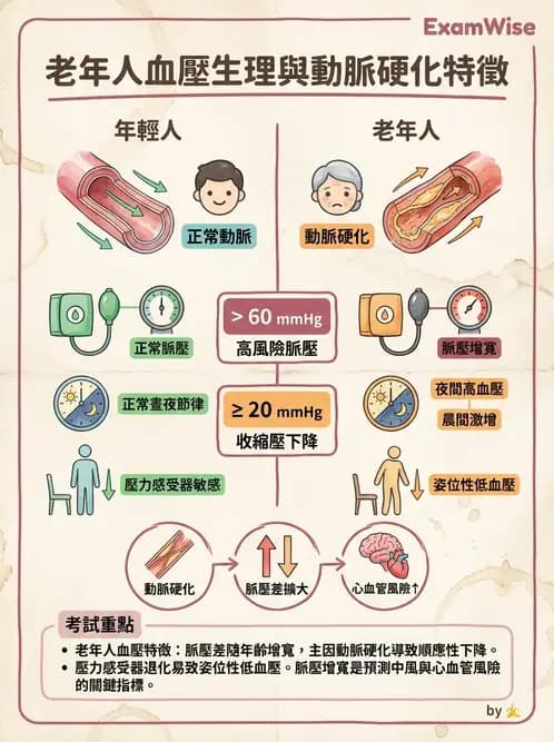 物治 - 循環解剖、生理與血流動力學 - AI 圖文解析預覽