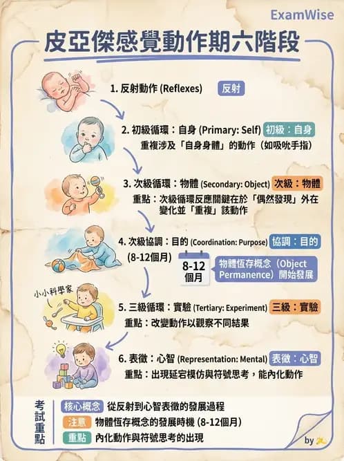 物治 - 兒童發展里程碑(動作與認知) - AI 圖文解析預覽