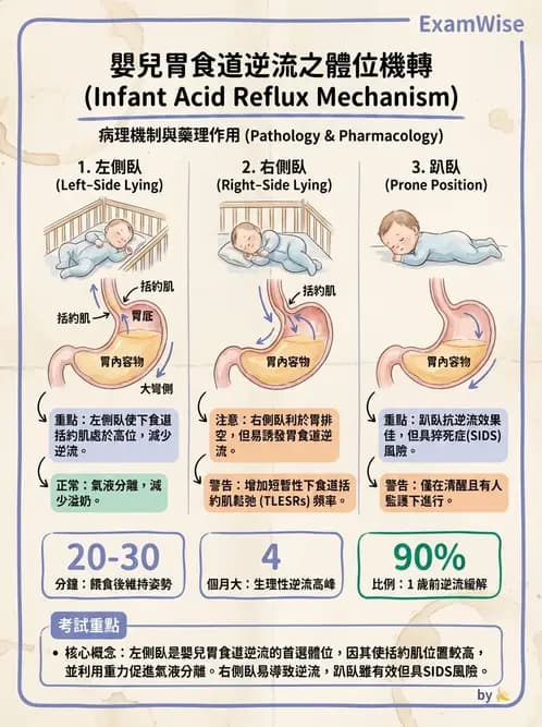 物治 - 小兒呼吸疾患與NICU物理治療 - AI 圖文解析預覽