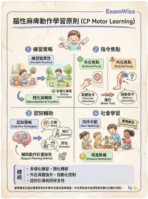 物治 - 腦性麻痺介入、手術與輔具 - AI 圖文解析預覽