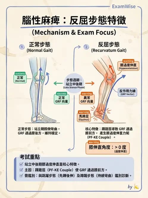物治 - 腦性麻痺分類、評估與步態 - AI 圖文解析預覽
