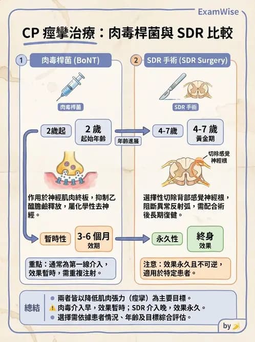 物治 - 腦性麻痺介入、手術與輔具 - AI 圖文解析預覽