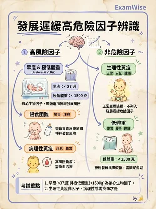 物治 - 新生兒與嬰兒發展評估 - AI 圖文解析預覽