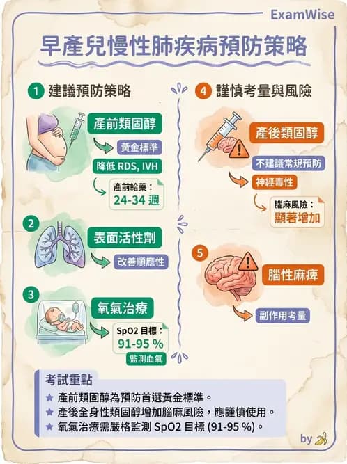 物治 - 小兒呼吸疾患與NICU物理治療 - AI 圖文解析預覽