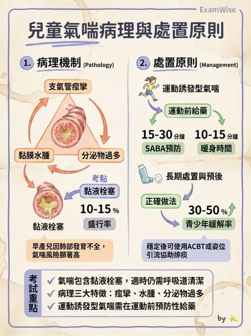 物治 - 小兒呼吸疾患與NICU物理治療 - AI 圖文解析預覽