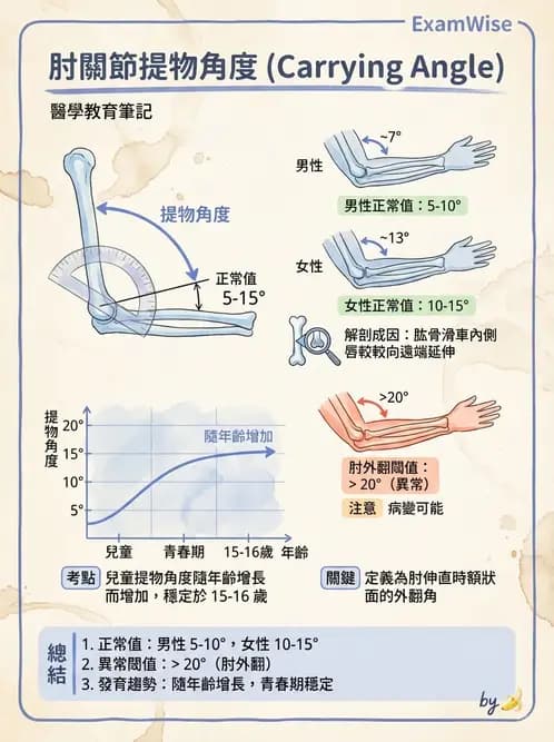 物治 - 肘關節與前臂生物力學 - AI 圖文解析預覽