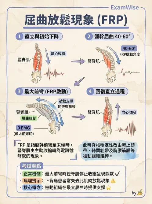 物治 - 日常功能動作與工效學 - AI 圖文解析預覽