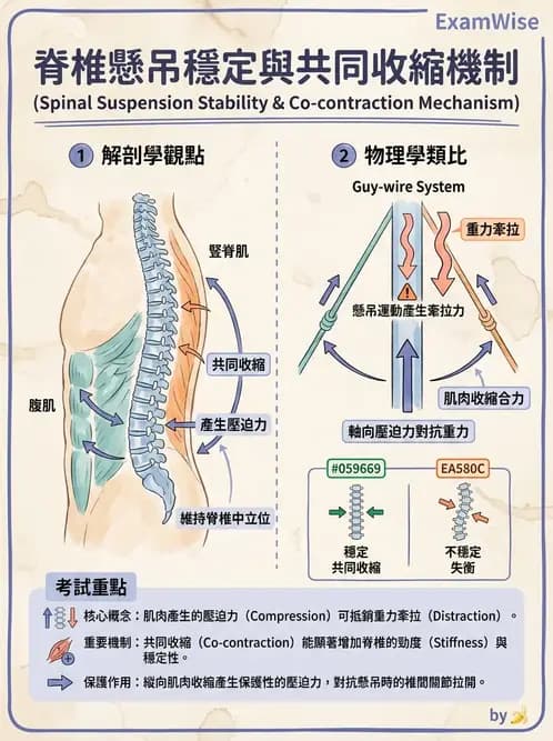 物治 - 競技運動與肌力訓練動作分析 - AI 圖文解析預覽