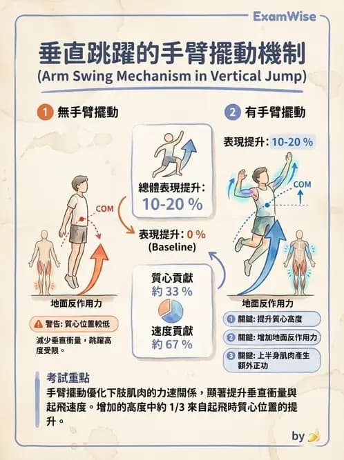 物治 - 競技運動與肌力訓練動作分析 - AI 圖文解析預覽