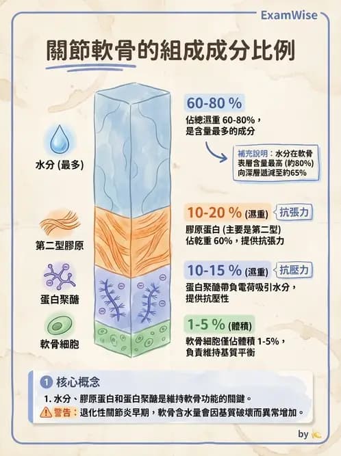 物治 - 組織生物力學 - AI 圖文解析預覽