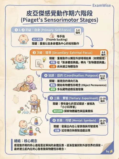 物治 - 歷史沿革與發展教育 - AI 圖文解析預覽