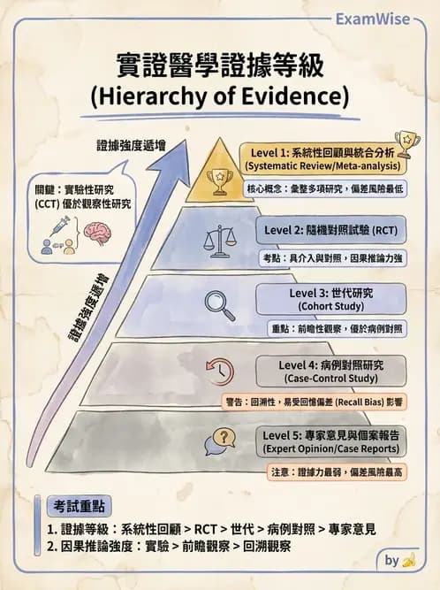 物治 - 實證概念與發展 - AI 圖文解析預覽