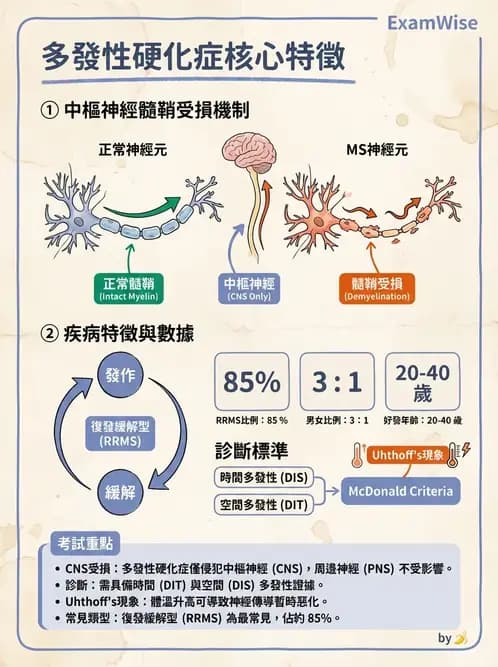物治 - 神經退化性疾病 - AI 圖文解析預覽